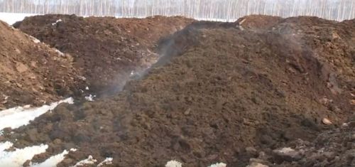 Жители Зеленодольского района пожаловались на ужасный запах от отходов местной агрофирмы