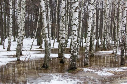 «Поступили новые данные». Синоптики изменили прогноз на апрель