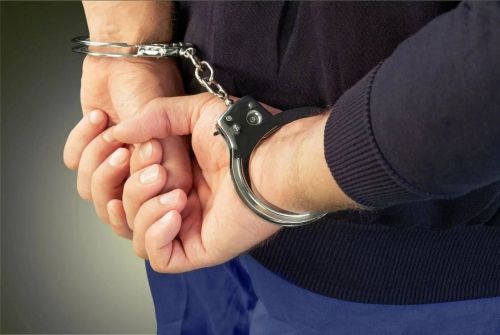 В Зеленодольске полицейские задержали мужчину, подозреваемого в хранении «опасных» грибов