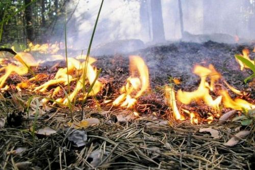 В Татарстане с середины апреля начнет действовать пожароопасный сезон