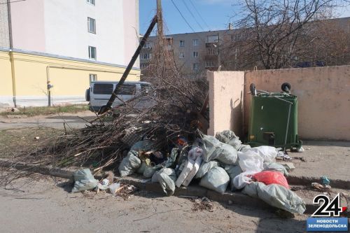 «Веткам в контейнерах не место»: К кому обращаться для утилизации растительных отходов