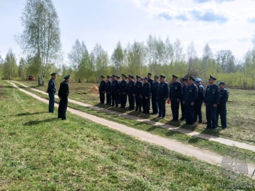 Названа основная причина пожаров в лесных зонах Зеленодольского района