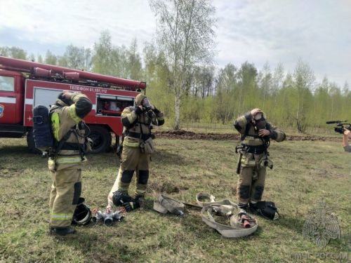 Названа основная причина пожаров в лесных зонах Зеленодольского района