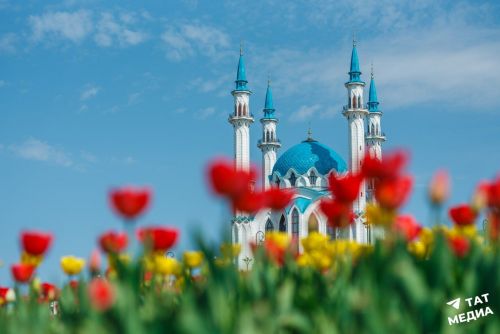 В Татарстане в начале недели ожидается до +17 градусов
