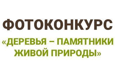 Прими участие в фотоконкурсе «Деревья – памятники живой природы» и выиграй до 100 тысяч рублей