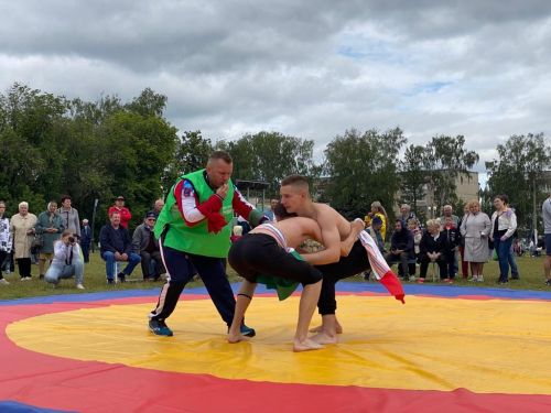 Праздник плуга провели в поселке Васильево
