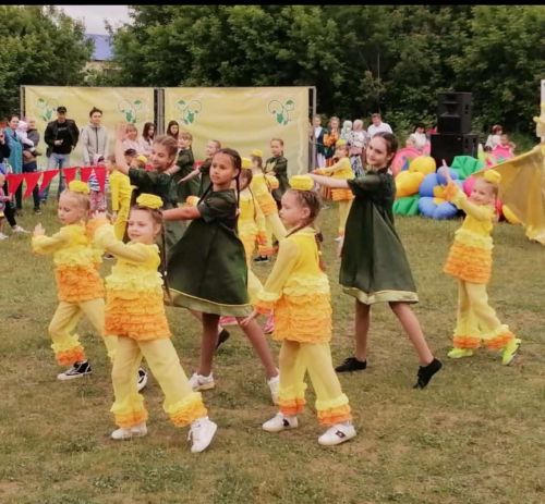 Праздник плуга провели в поселке Васильево