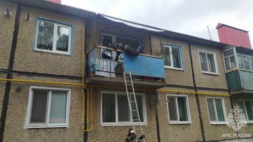 Зеленодольские огнеборцы выезжают не только на тушение пожаров и другие экстренные происшествия