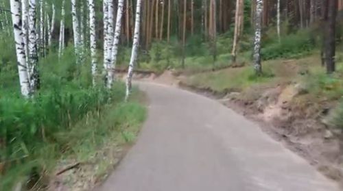 Мобильный репортёр: Красота лыжероллерной трассы «Маяка»
