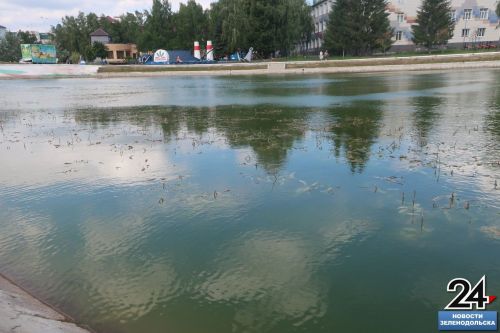 Озеро в тине. Почему городской водоём зарастает, отвечает гидробиолог КФУ