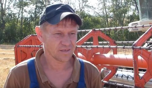 Каким будет урожай-2023 в Зеленодольском районе