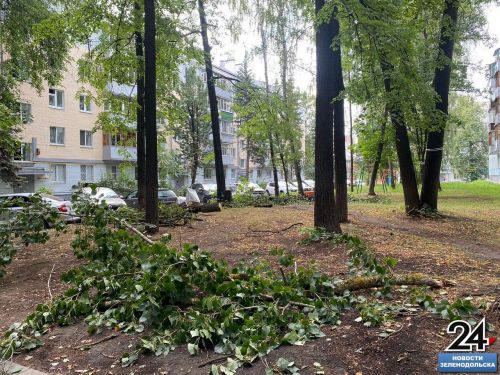 Ураган может вернуться: Гидрометцентр Татарстана дал прогноз на рабочую неделю