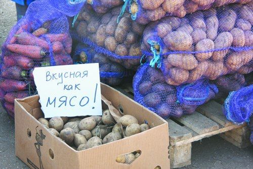 В Татарстане с 9 сентября стартуют сельхозярмарки