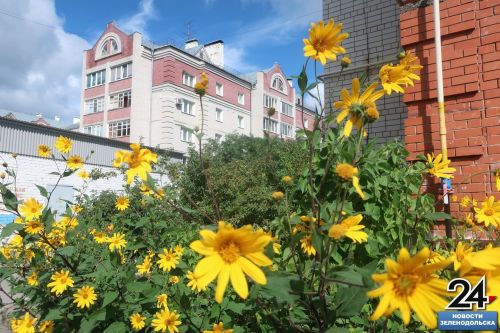 Профессор КФУ пообещал потепление в Татарстане в ближайшие дни