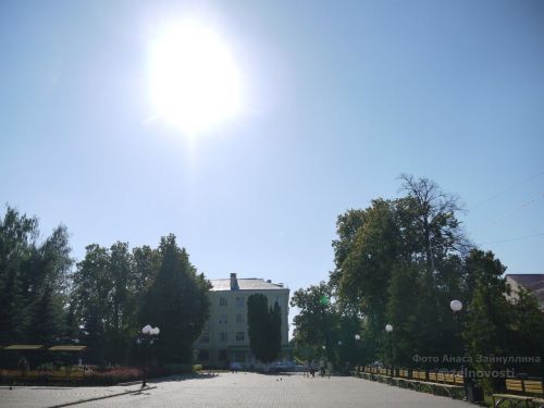 Эколог рассказала о последствиях аномальной жары