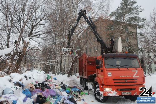 И вновь мусорный коллапс: Переполненные отходами контейнеры входят в норму?