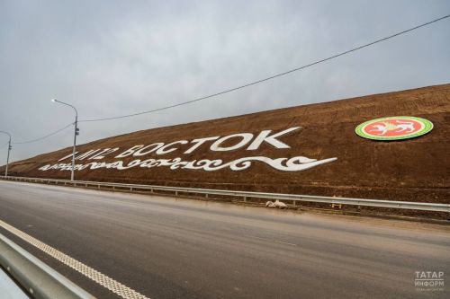 Автоэксперт раскрыл легкие способы завести машину в сильный мороз