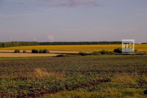 Мораторий не для всех: под прицелом Росреестра – сельхозземли Татарстана
