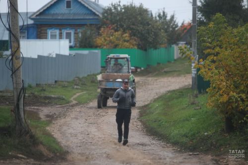 Минсельхозпрод РТ сообщает о продлении приема заявок на возмещение части затрат для ЛПХ