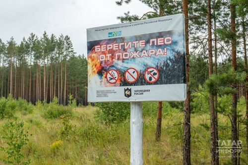 Минлесхоз РТ дал ответ, снимут ли ограничения на посещение лесов Татарстана раньше объявленных сроков