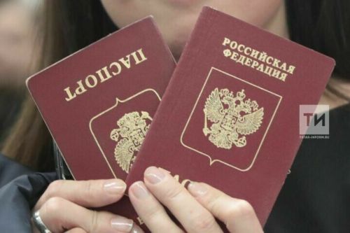 За 2024 год количество выдворенных из России иностранцев повысилось на 45%