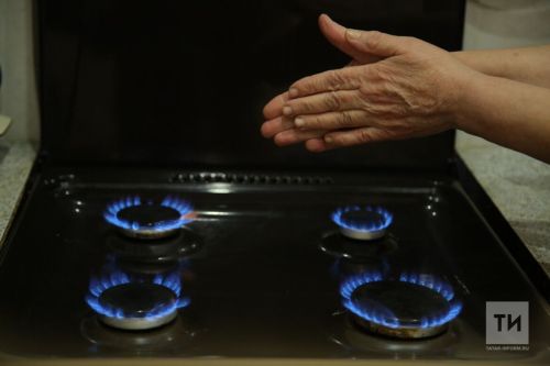 Указ подписали: с 1 декабря штраф 1500 рублей в сутки для собственников квартир с газовой плитой