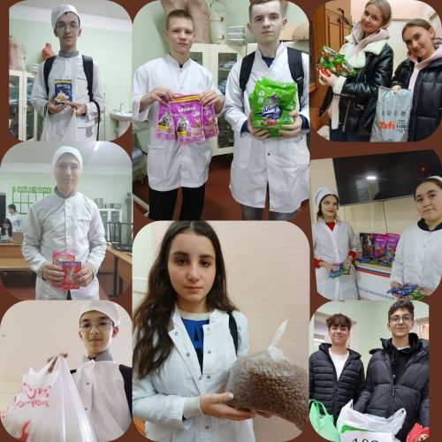 В Зеленодольском медицинском колледже прошли «Разговоры о важном» ко Дню добровольчества