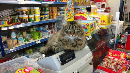 Цены на минимальный набор продуктов в Татарстане за год выросли на 6,9%