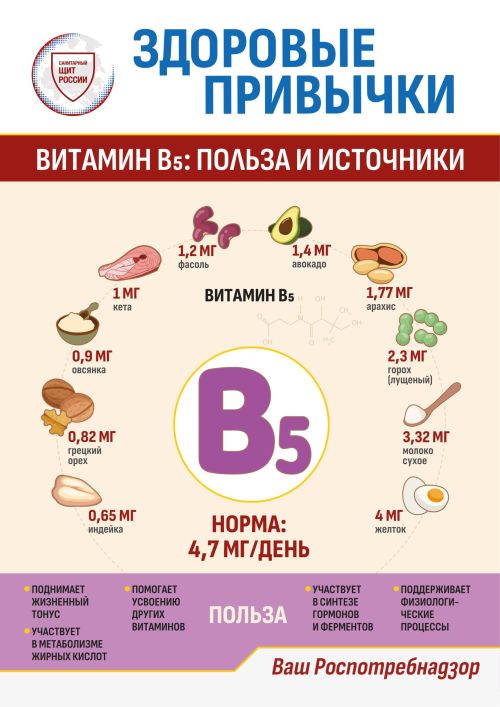 «Санитарный щит-безопасность для здоровья»