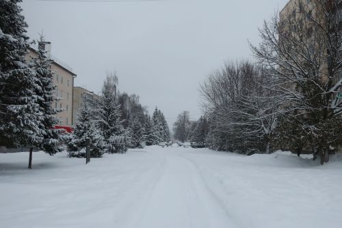 Сколько в январе выпало снега в сравнении с другими снежными месяцами