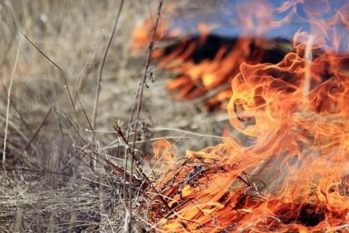 Особый противопожарный режим в Татарстане планируют ввести с 22 апреля