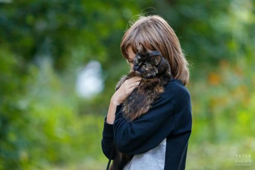 Почти полмиллиона домашних питомцев зафиксировано в Казани