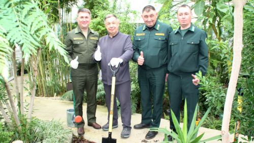 Посаженная в Татарстане сосна стала «Символом несокрушимой дружбы»