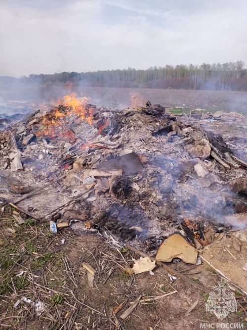 Вчера зеленодольские пожарные совершили 8 выездов по тревоге. Трава горит.
