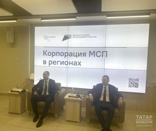 На развитие бизнеса малые и средние предприятия получили более 130 млр рублей