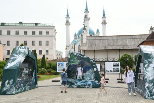В Казанском Кремле открылась интерактивная выставка «Ирбис. Кошка-невидимка»: посмотрите на мир глазами барса