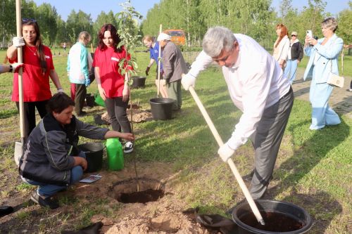 В Зеленодольском парке «Берёзовая роща» теперь будет можно собирать ягоды и фрукты