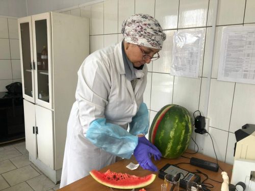 Опасны ли арбузы на прилавках Татарстана