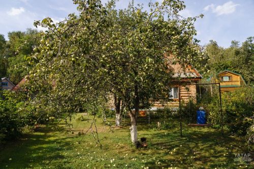 Советы огородникам от опытных дачников: участок будет радовать весь следующий год