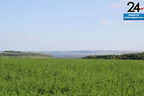 Красота родного края. Фоторепортаж Анаса Зайнуллина