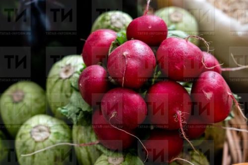Сеем редис в августе, и урожай будет радовать всю зиму