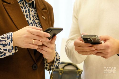 В Татарстане запустили пилотный проект «Мобильный инспектор»