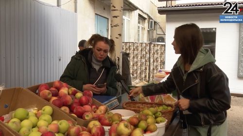 Как изменились цены на сезонные продукты на рынке