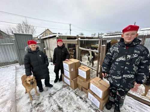 Отряд ЮНАРМИИ лицея № 9 имени Пушкина провёл акцию «Доброта в ладонях»
