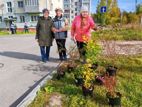На улице Загородной в Зеленодольске жители самостоятельно разбили настоящий сквер