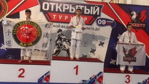 Зеленодольцы завоевали золото и серебро Открытого турнира Евразийской федерации каратэ-до