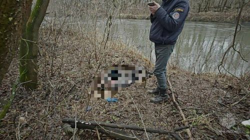 Пожилой житель Татарстана утонул, упав в реку с берега