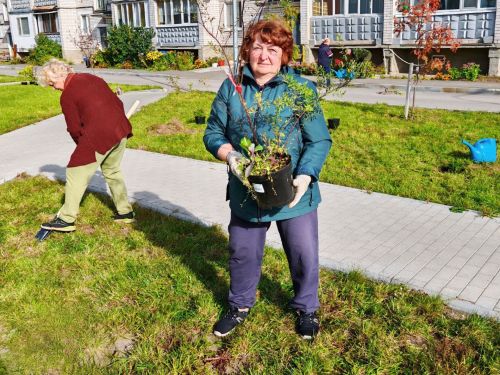 На улице Загородной активисты вместе с партнёрами создают цветущий сад