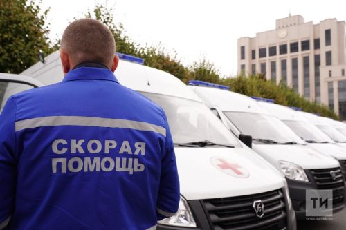 В п. Васильево Зеленодольского района стая собак напала на 9-летнюю девочку