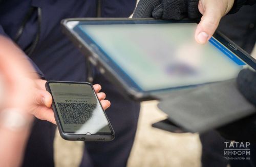 «Сканируй QR-код — потеряешь всё»: как мошенники заманивают жертв на фишинговые сайты